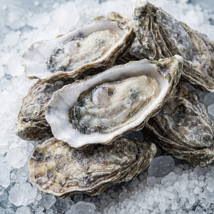 生食用　冷凍殻付生牡蠣