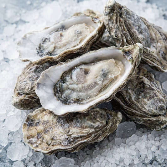 生食用　冷凍殻付生牡蠣