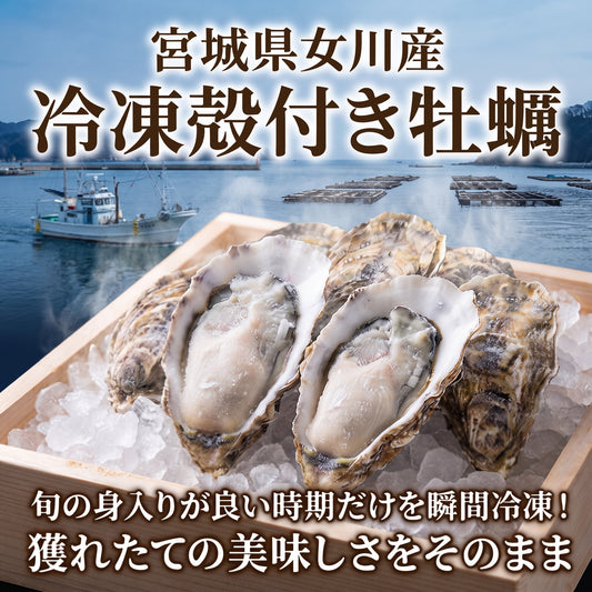 生食用　冷凍殻付生牡蠣