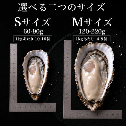 生食用　冷凍殻付生牡蠣