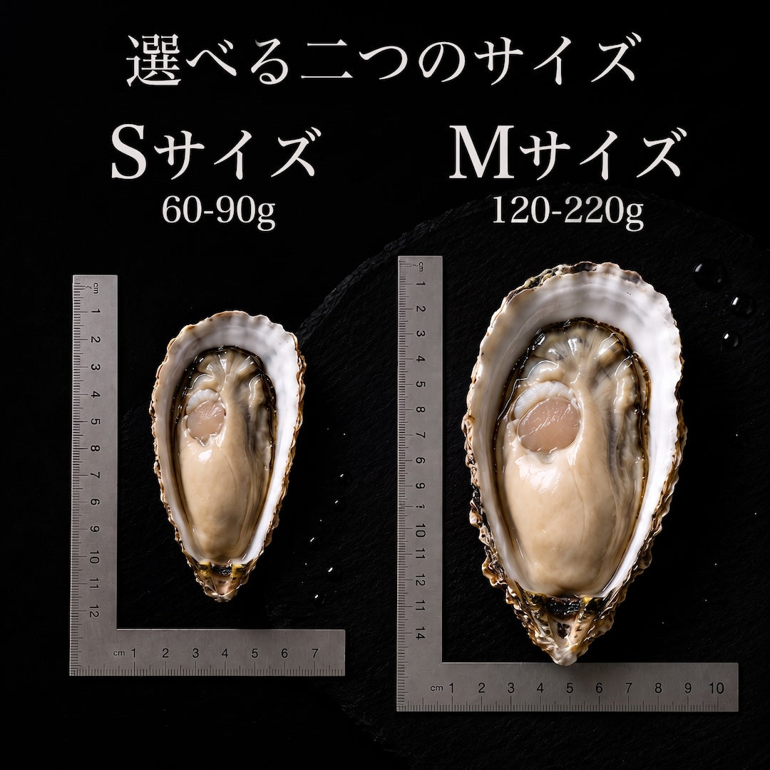 女川産殻付生牡蠣