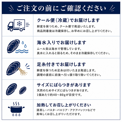 女川産活ムール貝