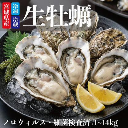 生牡蠣 殻付き牡蠣 牡蠣 カキ 生食用 宮城県産 三陸  ノロウィルス 細菌検査済
