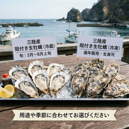生牡蠣 殻付き牡蠣 牡蠣 カキ 生食用 宮城県産 三陸  ノロウィルス 細菌検査済