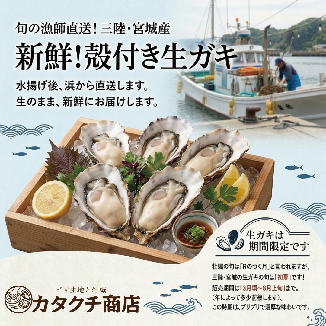 生牡蠣 殻付き牡蠣 牡蠣 カキ 生食用 宮城県産 三陸  ノロウィルス 細菌検査済