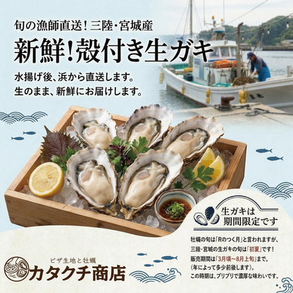 生牡蠣 殻付き牡蠣 牡蠣 カキ 生食用 宮城県産 三陸  ノロウィルス 細菌検査済