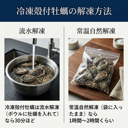生牡蠣 殻付き牡蠣 牡蠣 カキ 生食用 宮城県産 三陸  ノロウィルス 細菌検査済