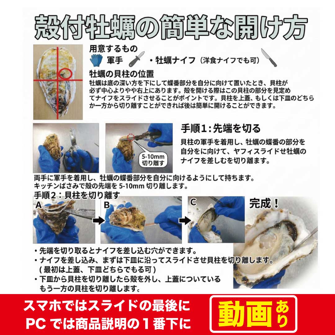 生牡蠣 殻付き牡蠣 牡蠣 カキ 生食用 宮城県産 三陸  ノロウィルス 細菌検査済