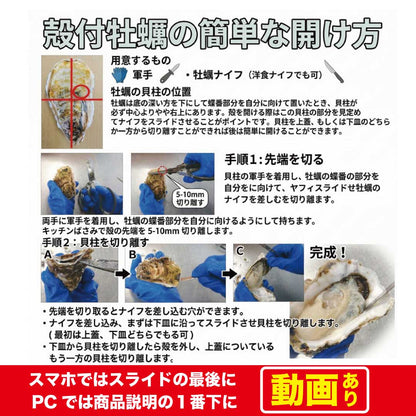生牡蠣 殻付き牡蠣 牡蠣 カキ 生食用 宮城県産 三陸  ノロウィルス 細菌検査済