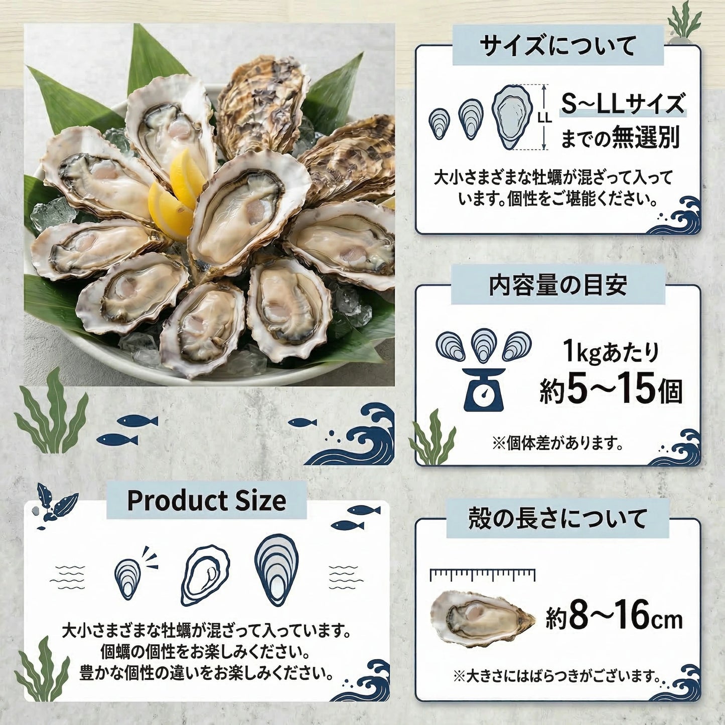 生牡蠣 殻付き牡蠣 牡蠣 カキ 生食用 宮城県産 三陸  ノロウィルス 細菌検査済