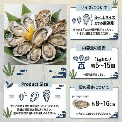 生牡蠣 殻付き牡蠣 牡蠣 カキ 生食用 宮城県産 三陸  ノロウィルス 細菌検査済